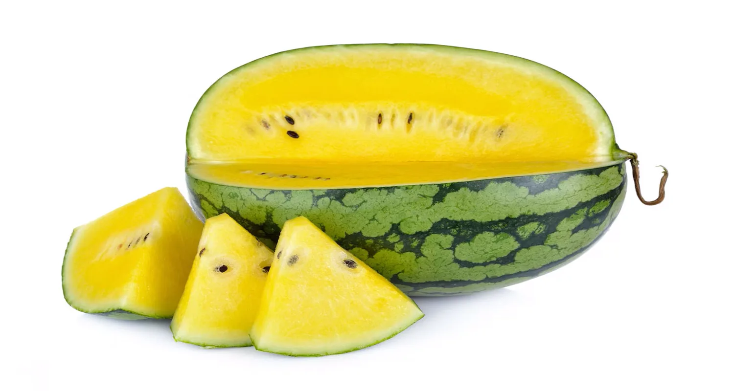 Yellow watermelons